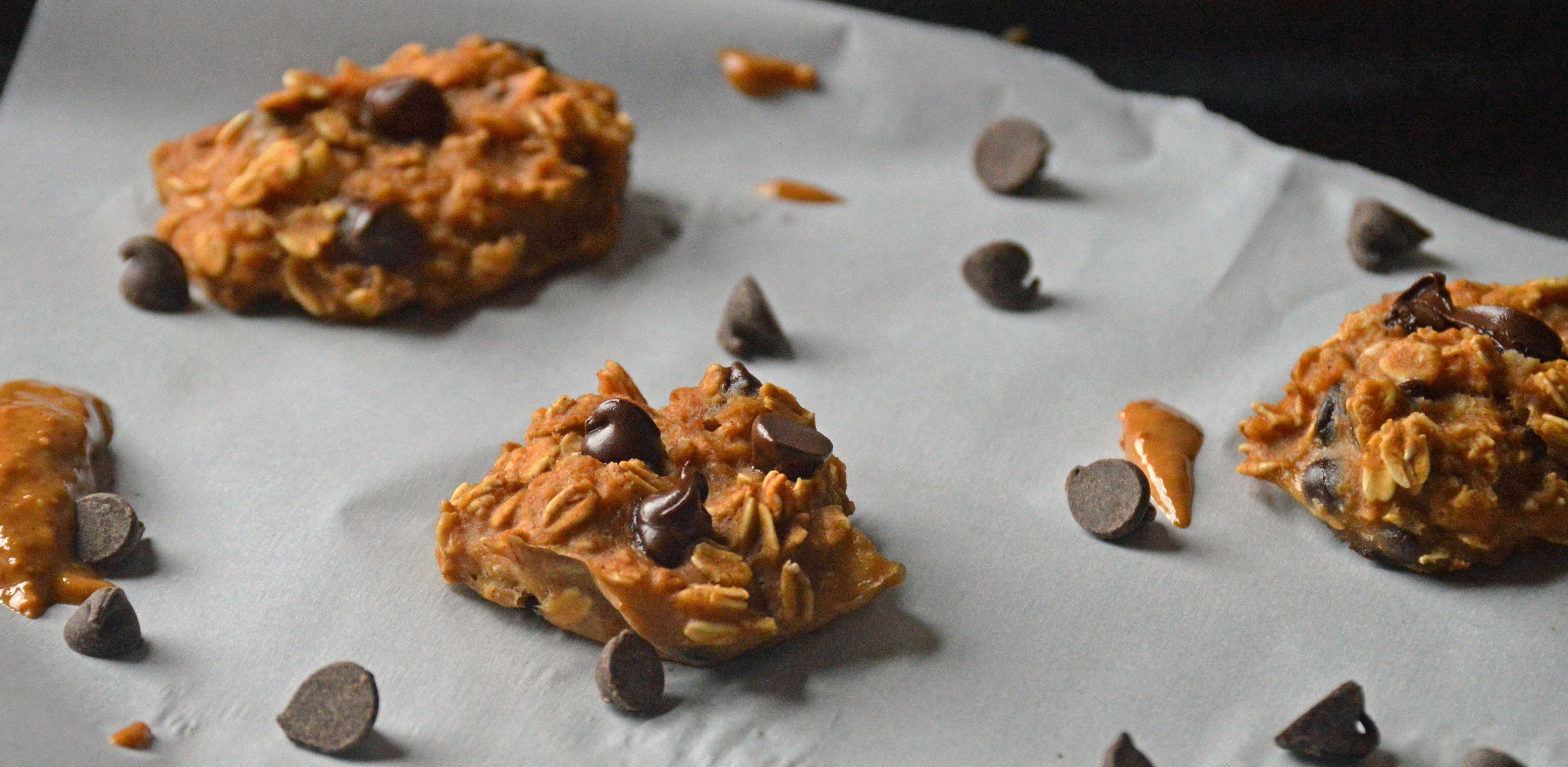 Breakfast Peanut Butter Chocolate Cookies 2