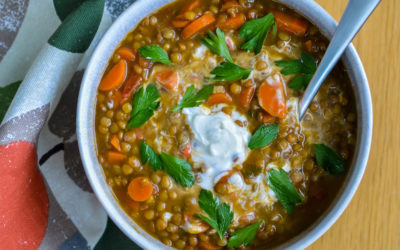 Moroccan Lentil Soup