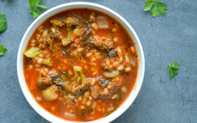 Vegetable Barley Soup