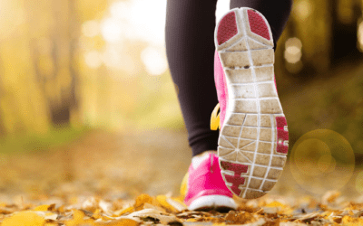 10 Cookbooks for Plant-Based Athletes